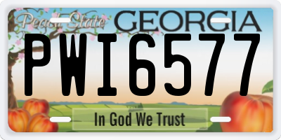 GA license plate PWI6577