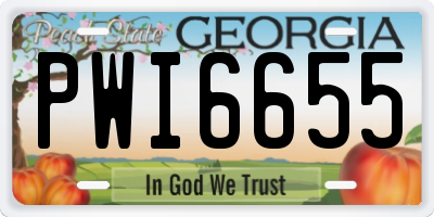 GA license plate PWI6655