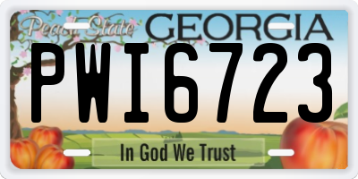 GA license plate PWI6723