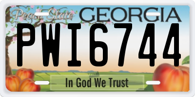 GA license plate PWI6744