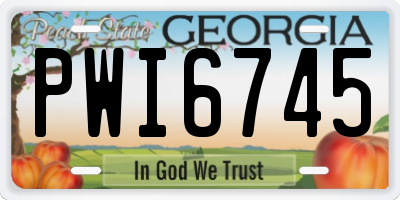 GA license plate PWI6745