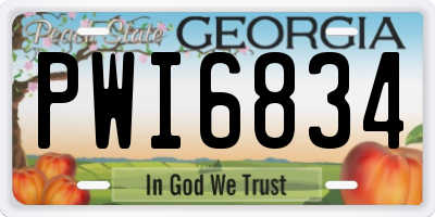 GA license plate PWI6834