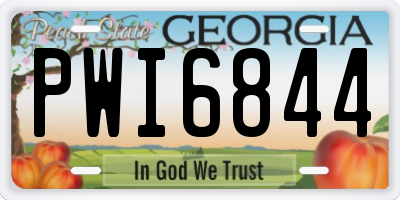 GA license plate PWI6844