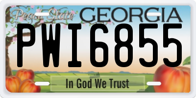 GA license plate PWI6855