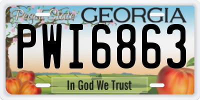 GA license plate PWI6863