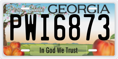 GA license plate PWI6873