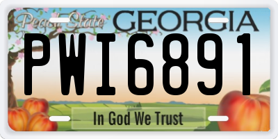 GA license plate PWI6891