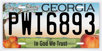 GA license plate PWI6893