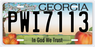 GA license plate PWI7113