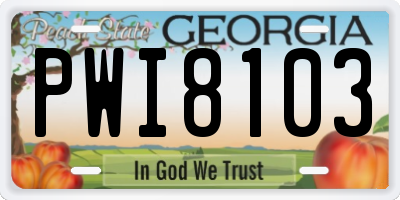 GA license plate PWI8103