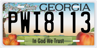 GA license plate PWI8113
