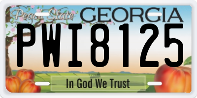 GA license plate PWI8125