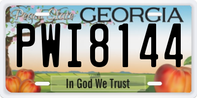 GA license plate PWI8144