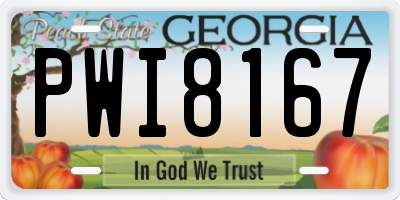 GA license plate PWI8167