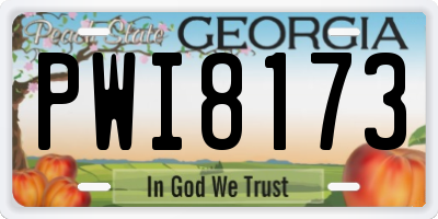 GA license plate PWI8173