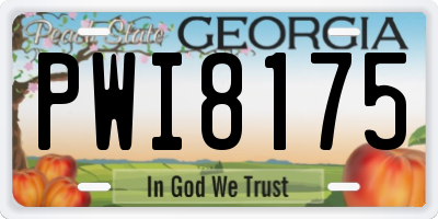 GA license plate PWI8175