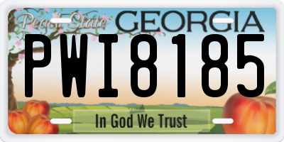 GA license plate PWI8185