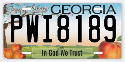 GA license plate PWI8189