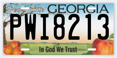 GA license plate PWI8213