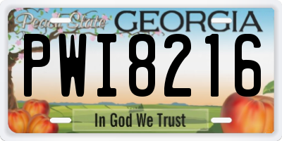 GA license plate PWI8216