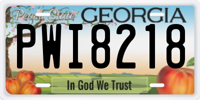 GA license plate PWI8218