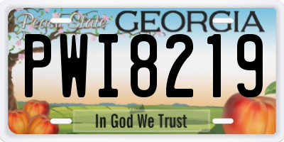 GA license plate PWI8219