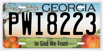 GA license plate PWI8223