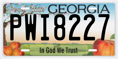 GA license plate PWI8227