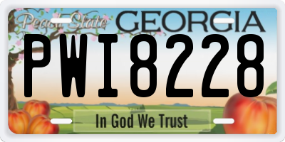 GA license plate PWI8228