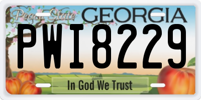 GA license plate PWI8229