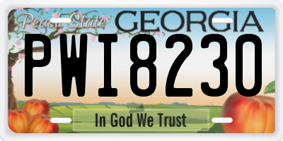 GA license plate PWI8230