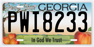 GA license plate PWI8233