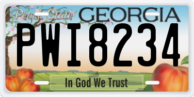 GA license plate PWI8234