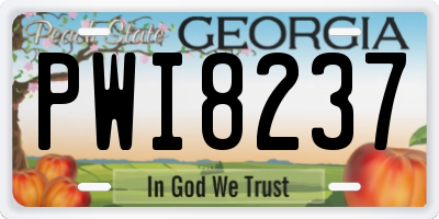 GA license plate PWI8237