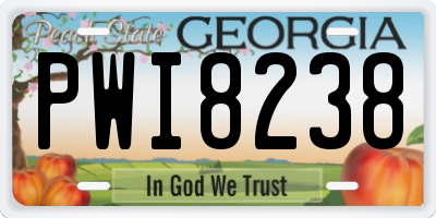 GA license plate PWI8238