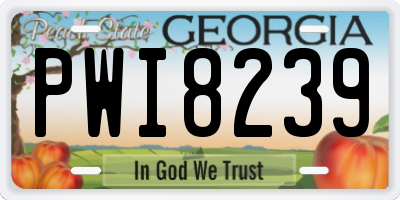 GA license plate PWI8239