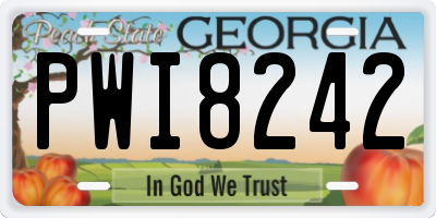 GA license plate PWI8242