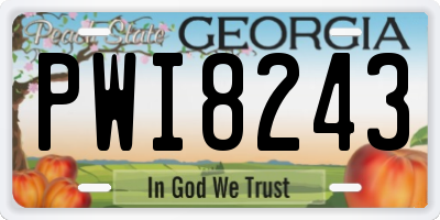 GA license plate PWI8243