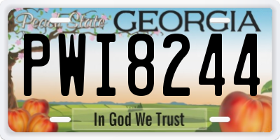 GA license plate PWI8244