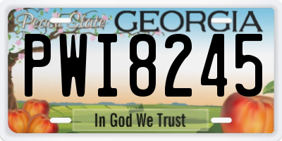 GA license plate PWI8245