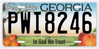 GA license plate PWI8246