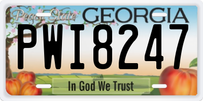GA license plate PWI8247