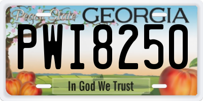 GA license plate PWI8250