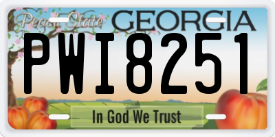 GA license plate PWI8251