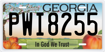 GA license plate PWI8255