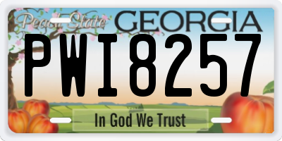 GA license plate PWI8257