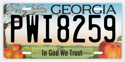 GA license plate PWI8259