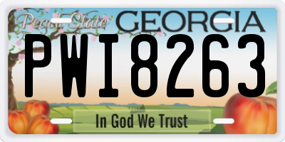 GA license plate PWI8263