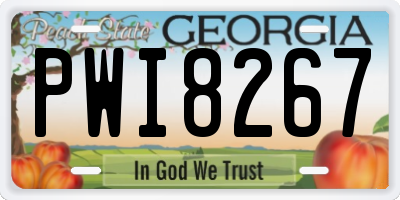 GA license plate PWI8267
