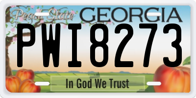 GA license plate PWI8273